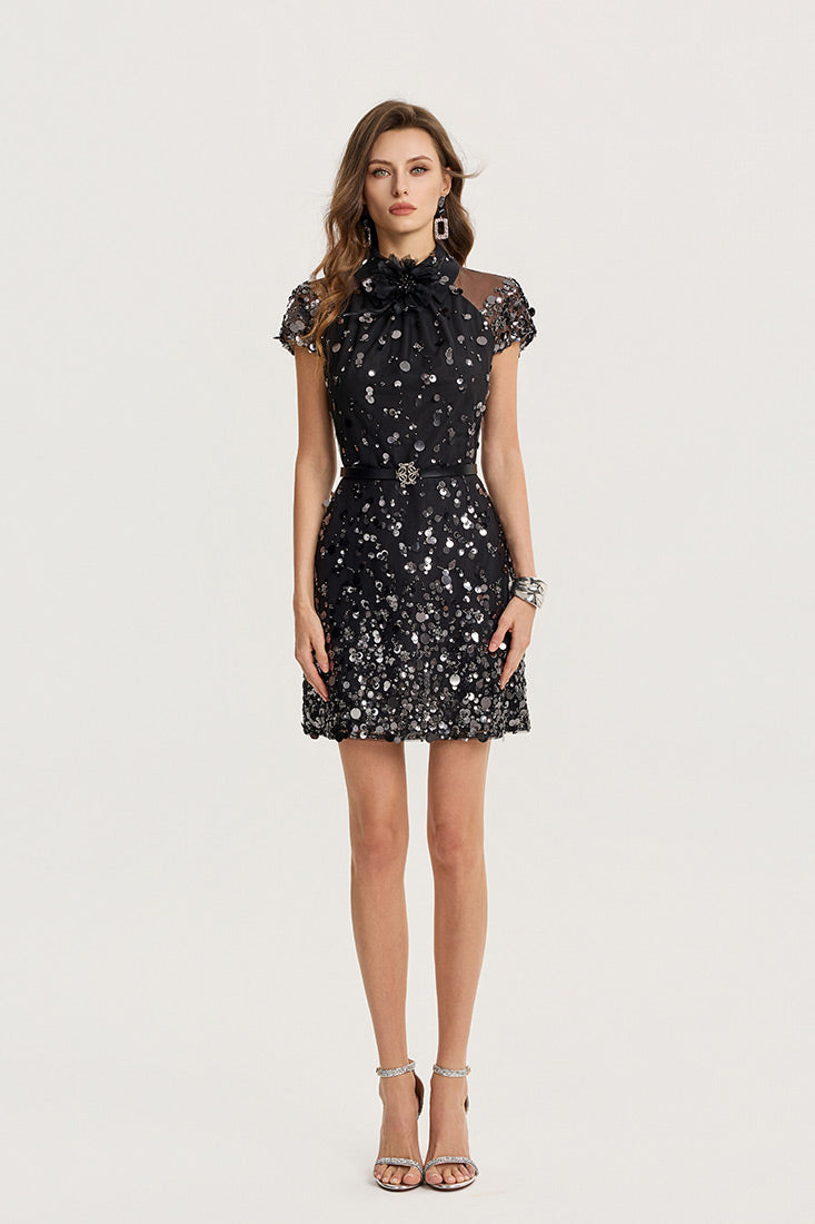 mini embellished dresses Dress Black / L Available In Champagne And Color:Coppery Brown 15000-20000 What are the best