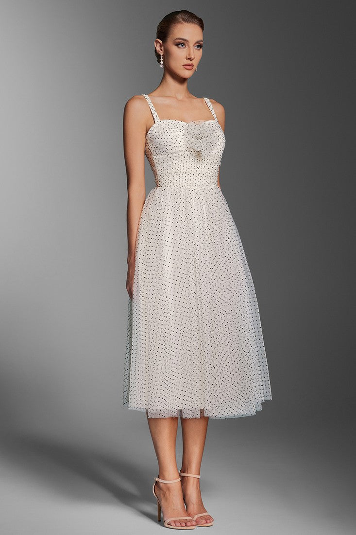 Polka Dot Tulle Dress