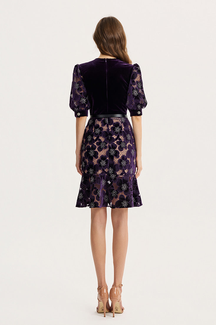 Velvet Richelieu Lace Mini Dress