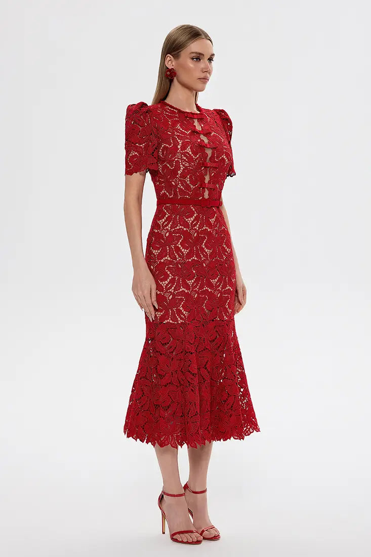 Embroidered Lace Mermaid Midi Dress