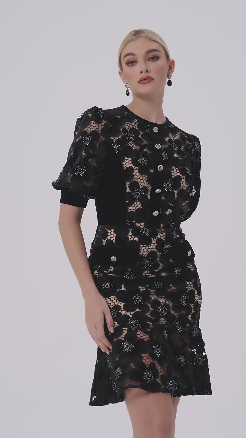 Velvet Richelieu Lace Mini Dress